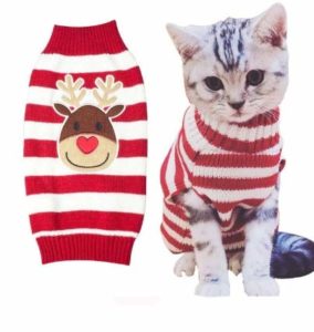 Cat Jumper