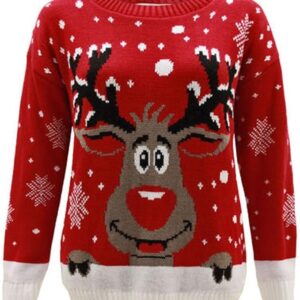 cute girls reindeer christmas jumper sweater